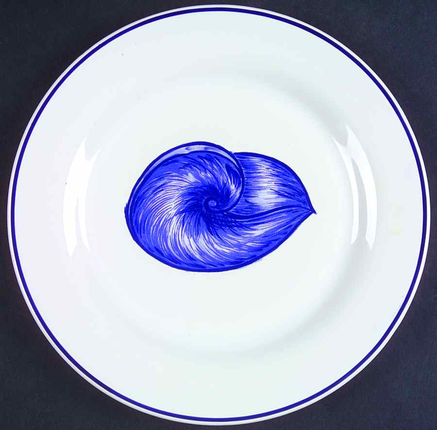 WSO11 Salad Plate by Williams-Sonoma-1
