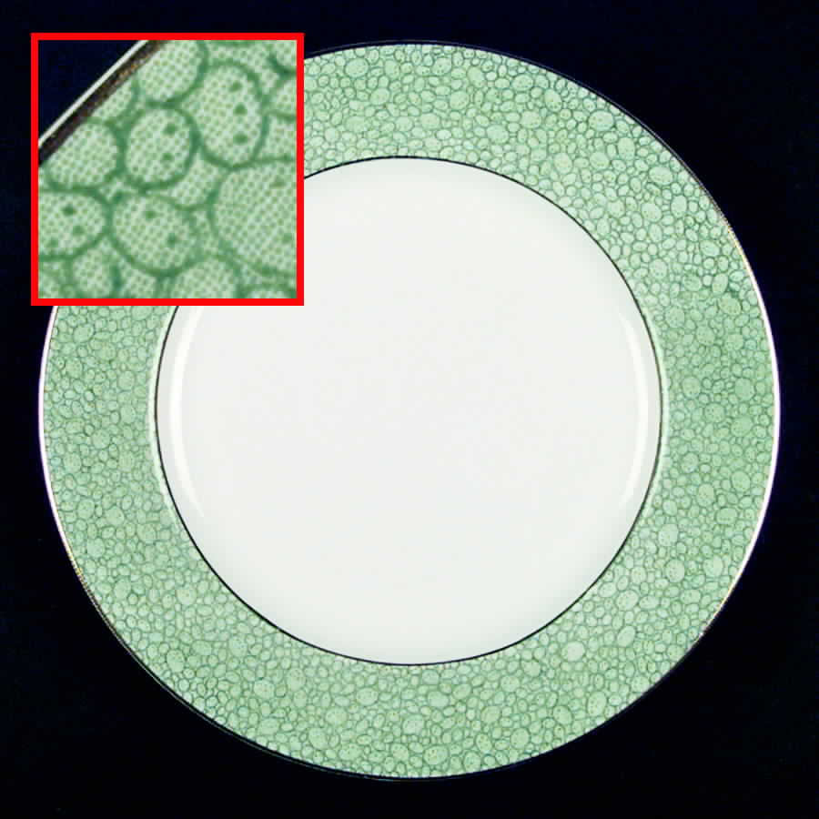 Garden Green Dinner Plate by Wedgwood-1