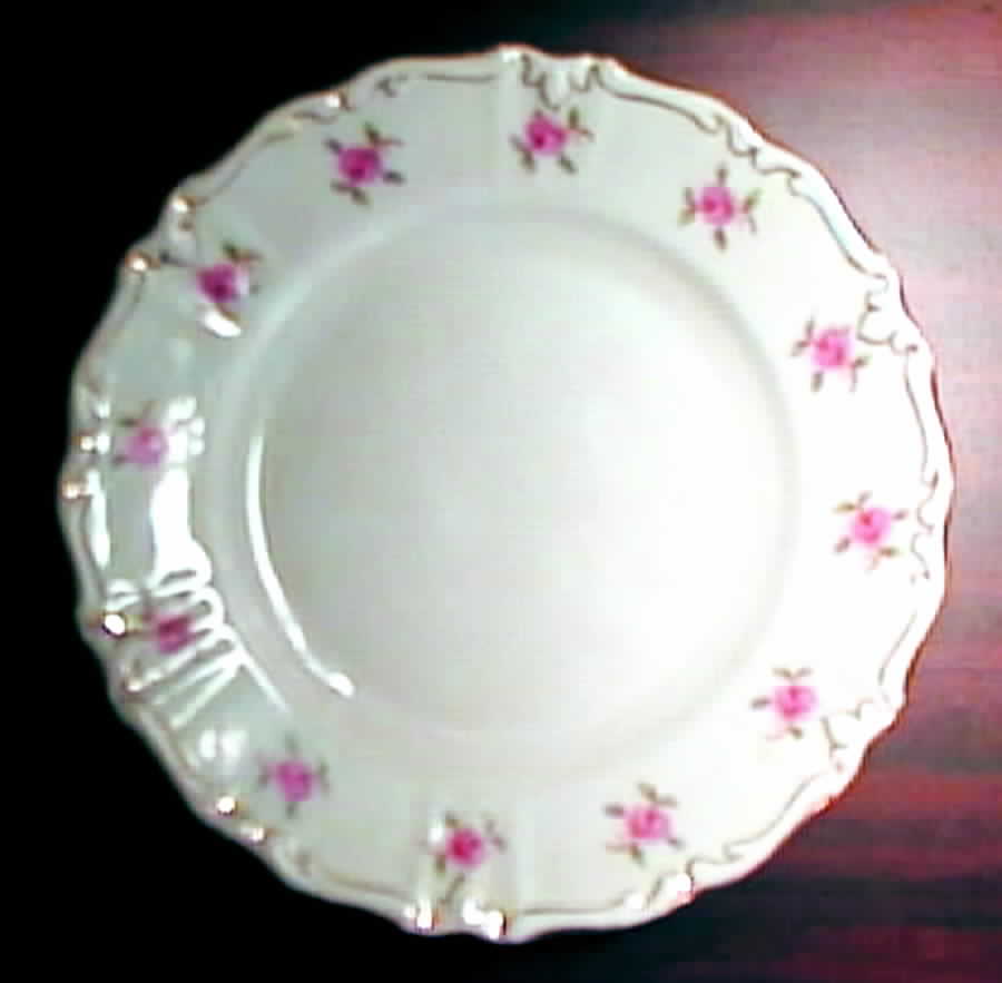 Wild Rose Dinner Plate by Winterling - Bavaria-1