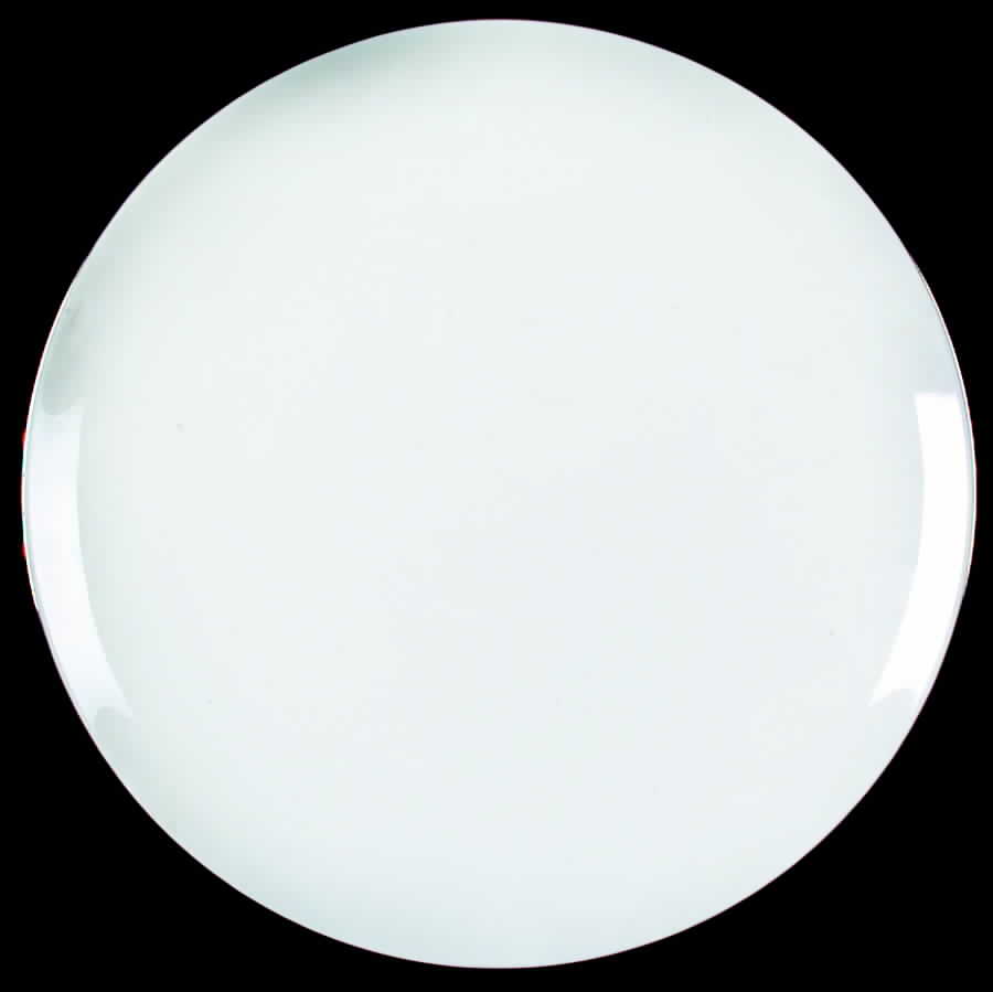 Illusion Dinner Plate by Wedgwood-1