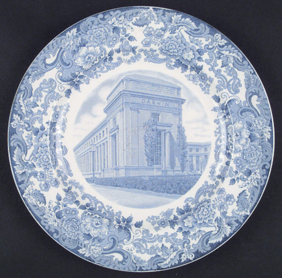 Massachusetts Institute of Tech Blue Dinner Plate by Wedgwood-1