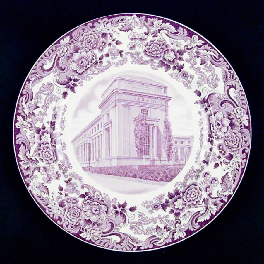 Massachusetts Institute of Technology Mulberry Dinner Plate by Wedgwood-1