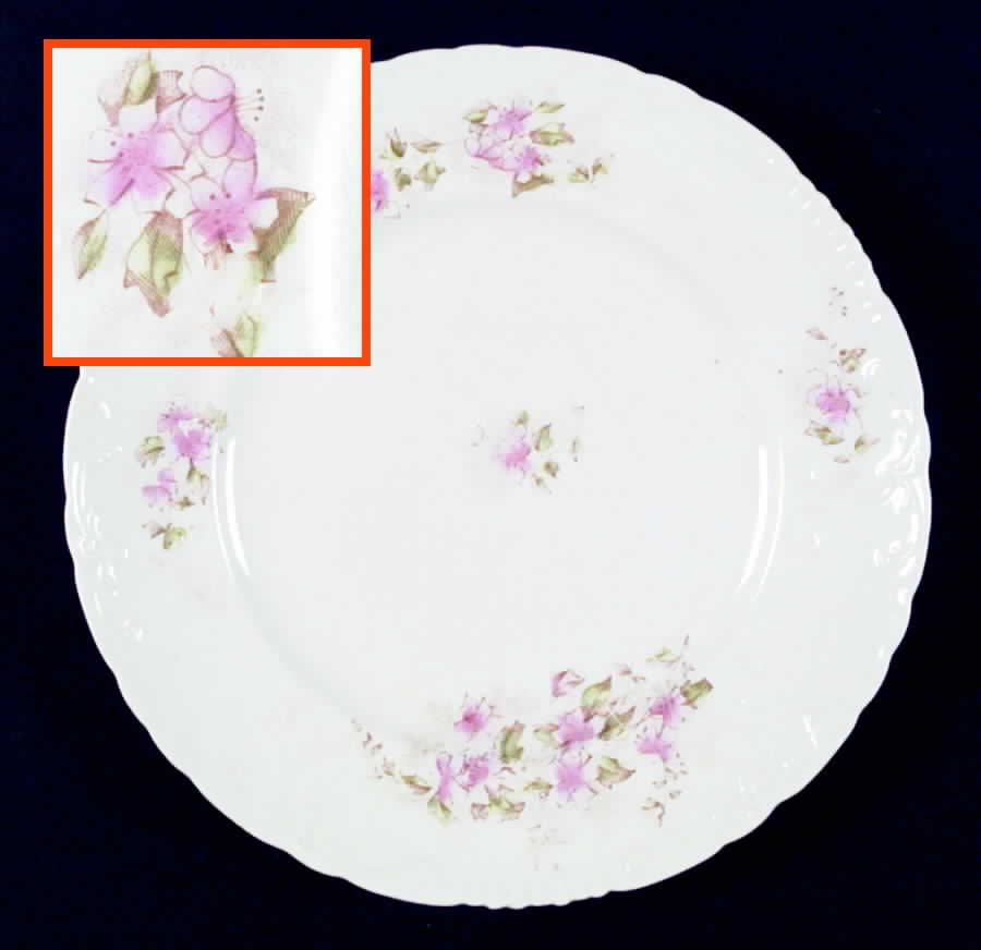 WAR63 Dinner Plate by Warwick-1