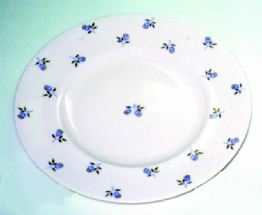 NK3275 Dinner Plate by Wedgwood-1