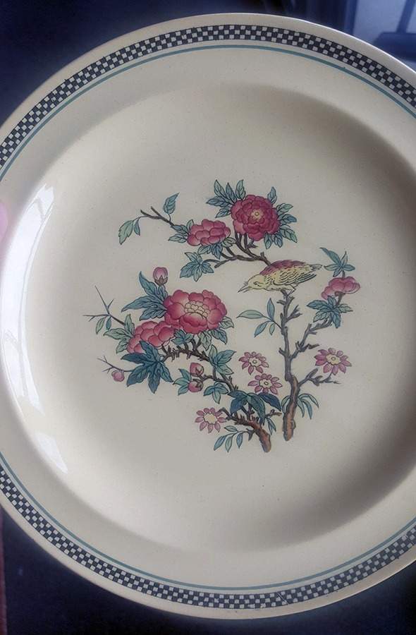 A7370 Dinner Plate by Wedgwood-1
