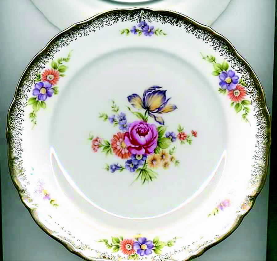 WIG336 Dinner Plate by Winterling - Bavaria-1