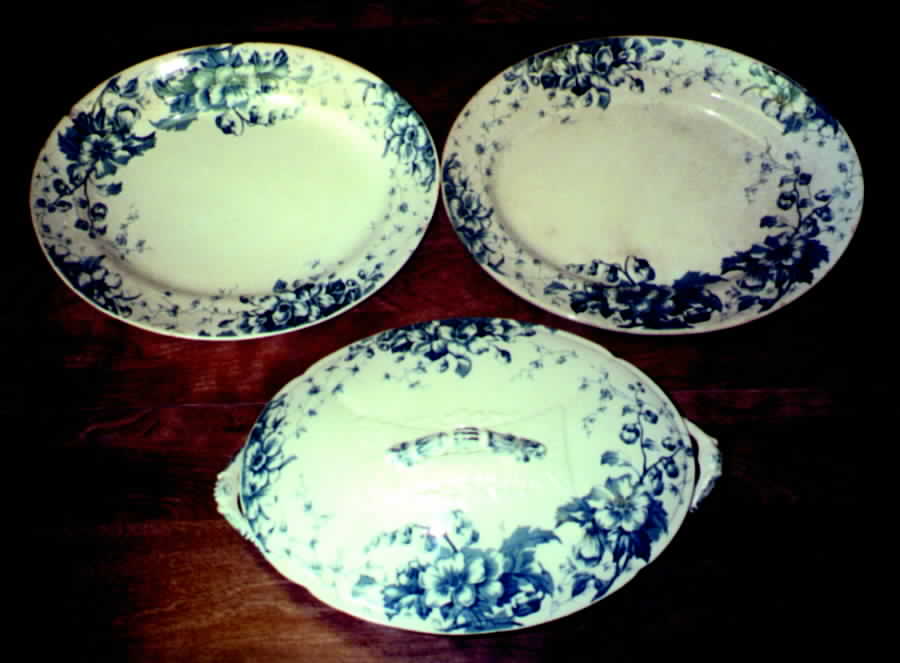 Florence (Blue Floral) Dinner Plate by Wedgwood-1