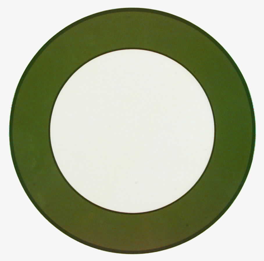 Passano Green Dinner Plate by Williams-Sonoma-1