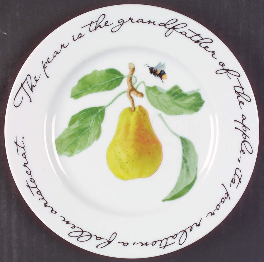Orchard Suite Salad Plate by Williams-Sonoma-1
