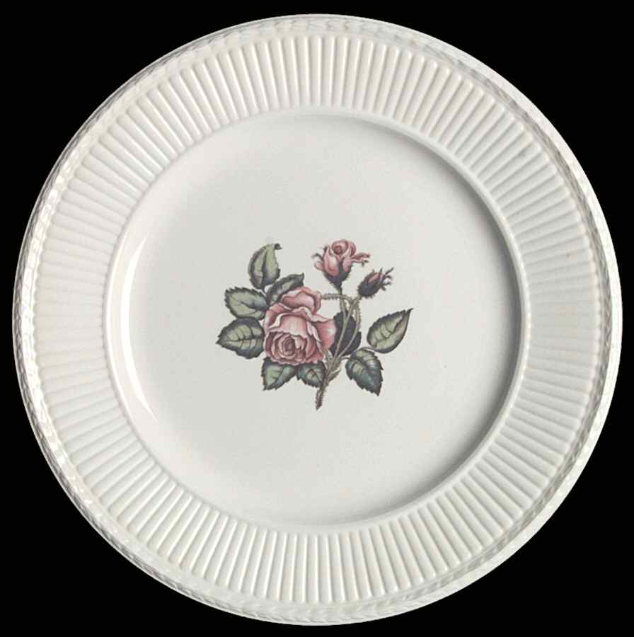 Moss Rose (Newer, Black Backstamp) Dinner Plate by Wedgwood-1
