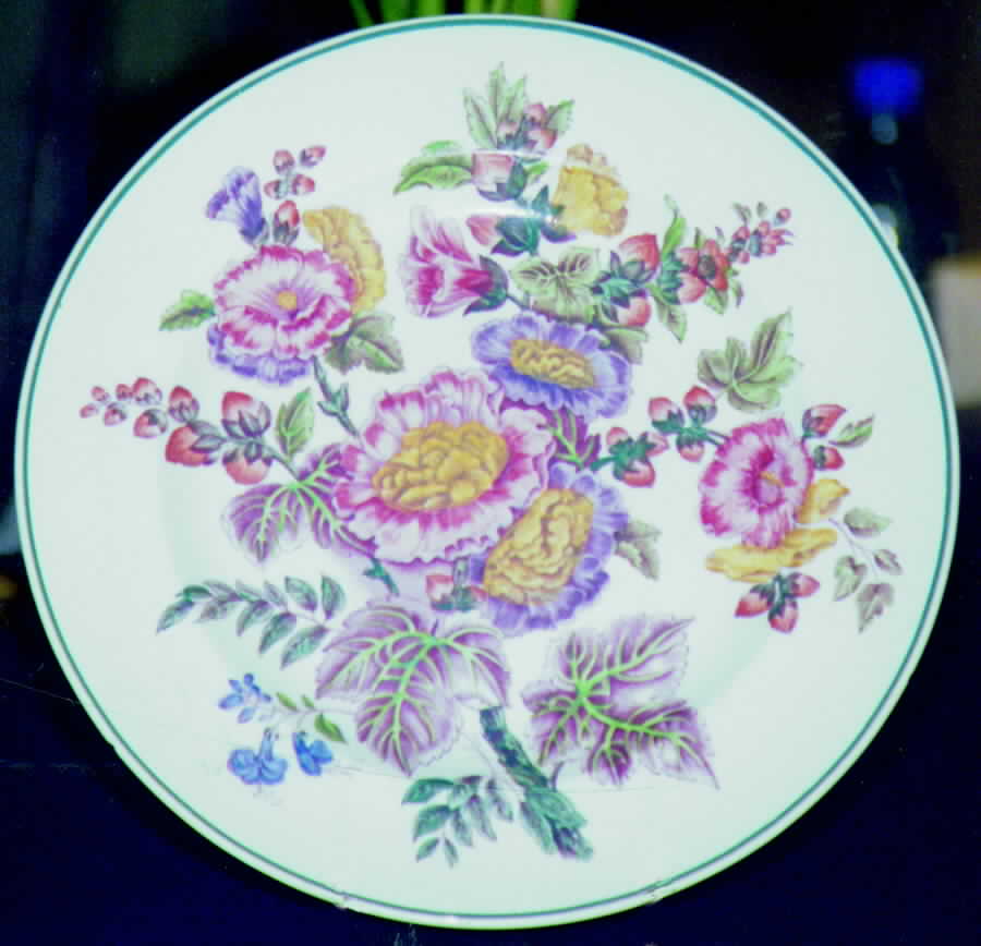 WW142 Dinner Plate by Wedgwood-1