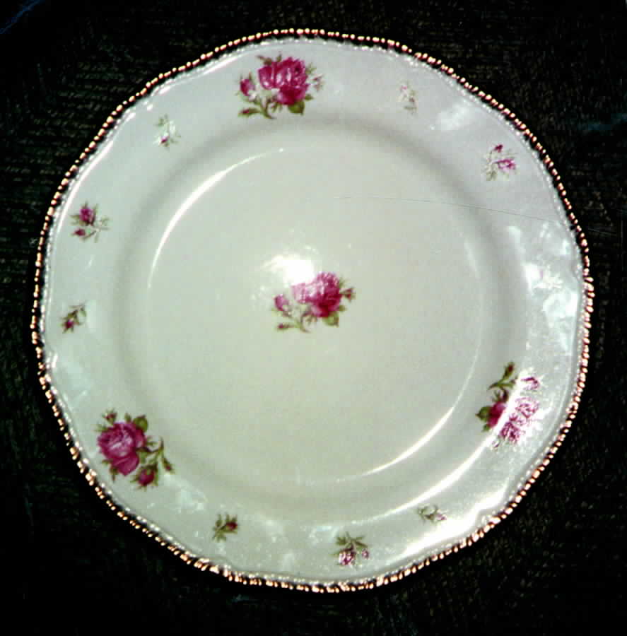 WOO37 Dinner Plate by Wood & Sons-1