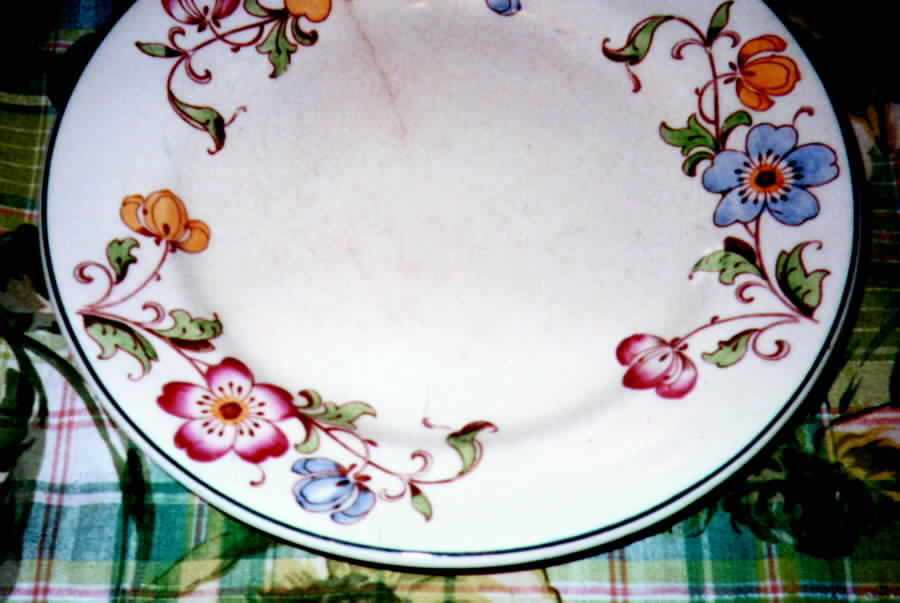 Florida Dinner Plate by Wood & Sons-1
