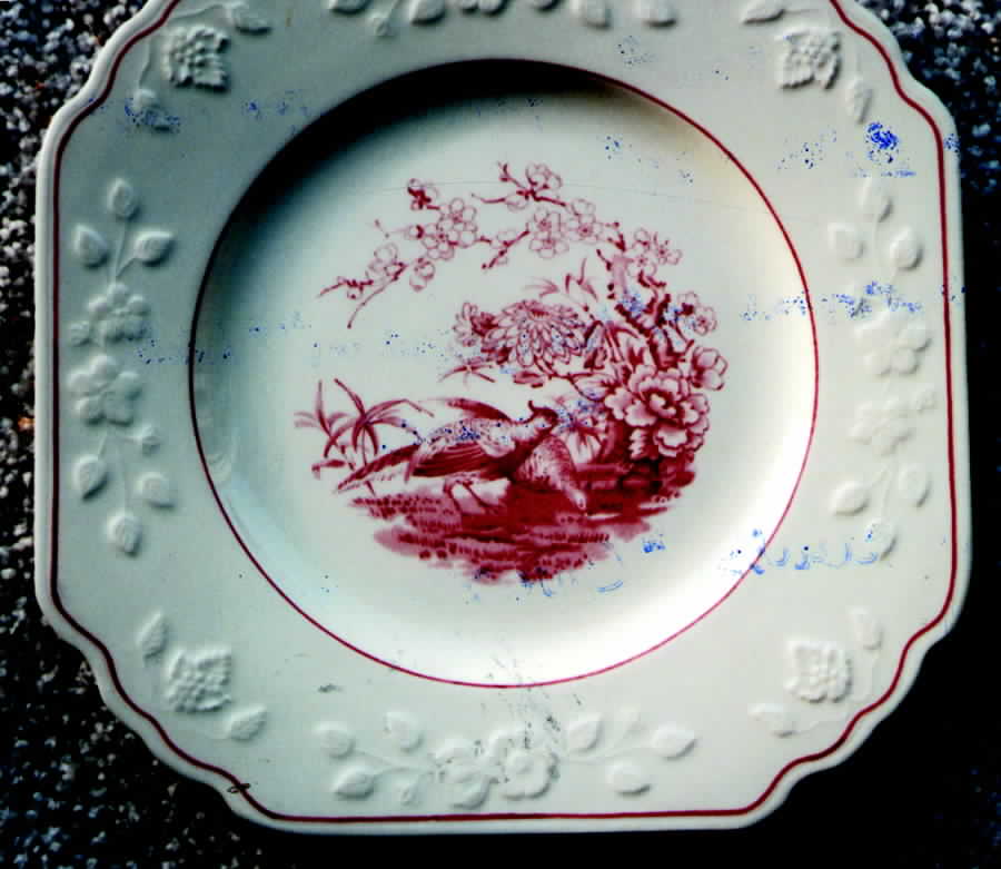 WW147 Square Salad Plate by Wedgwood-1