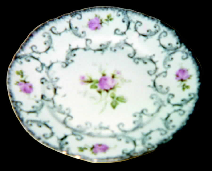 WAR73 Dinner Plate by Warwick-1