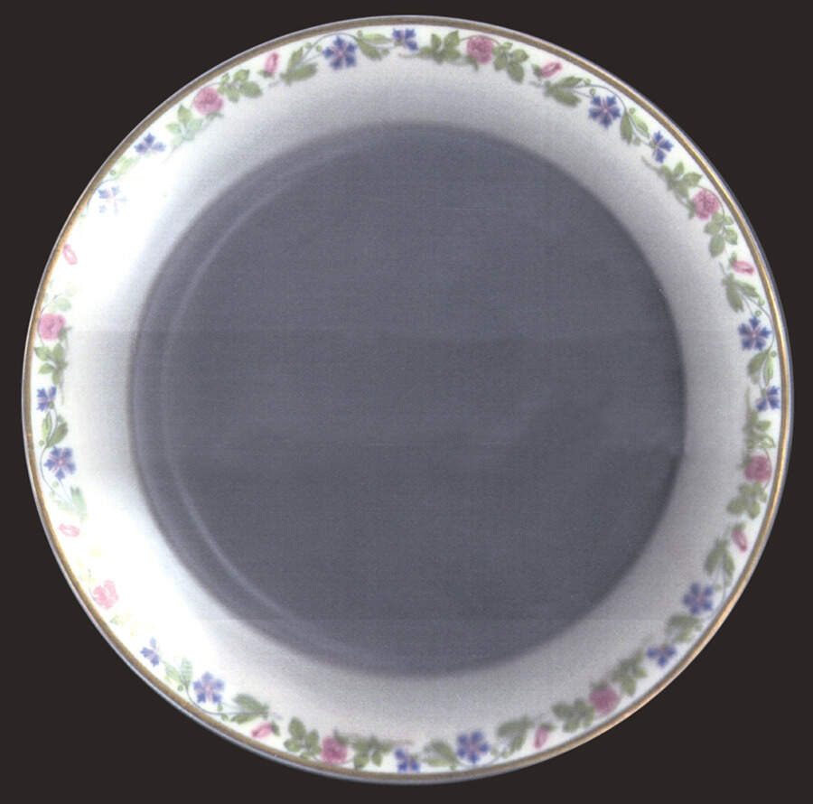 B9263 Bread & Butter Plate by Warwick-1
