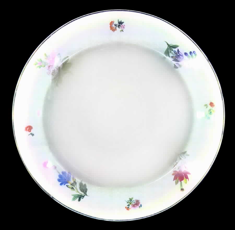 WAR77 Dinner Plate by Warwick-1