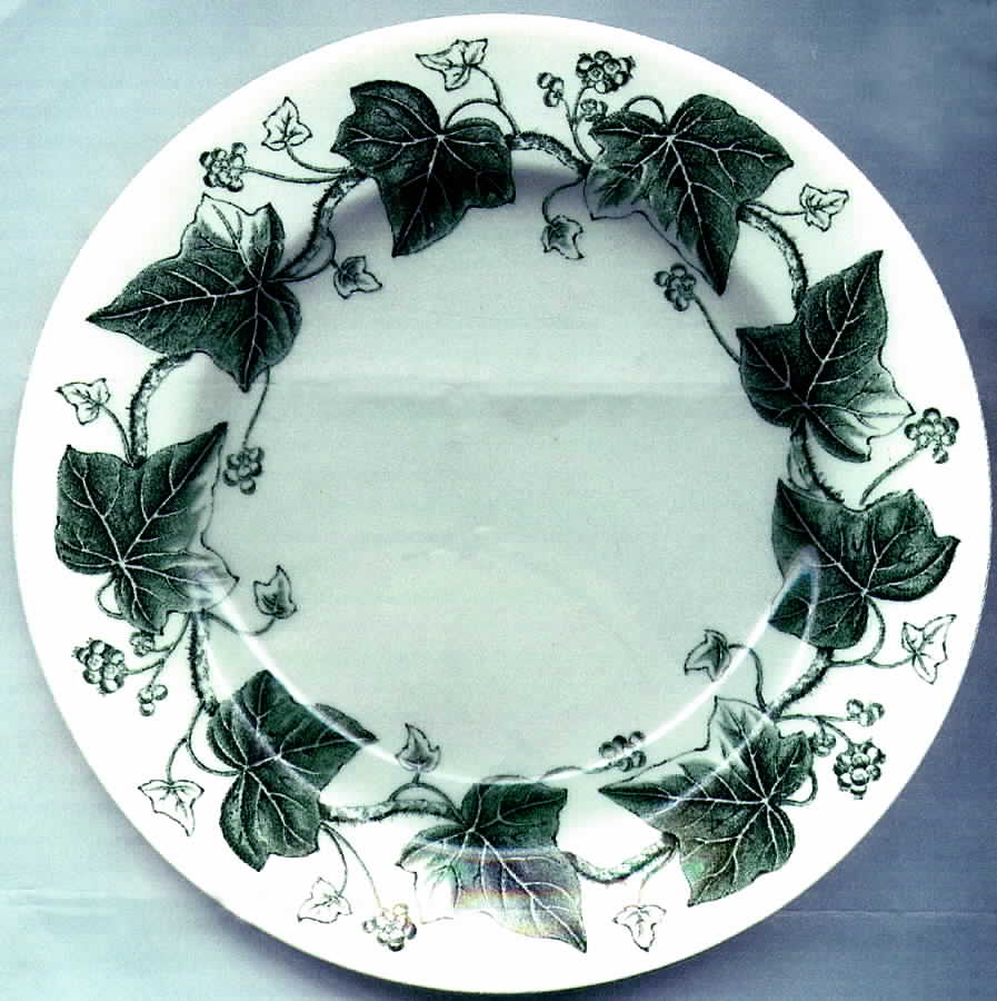 Napoleon Ivy Black Salad Plate by Wedgwood-1
