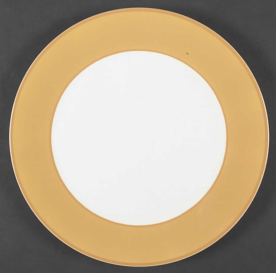 Passano Orange Dinner Plate by Williams-Sonoma-1