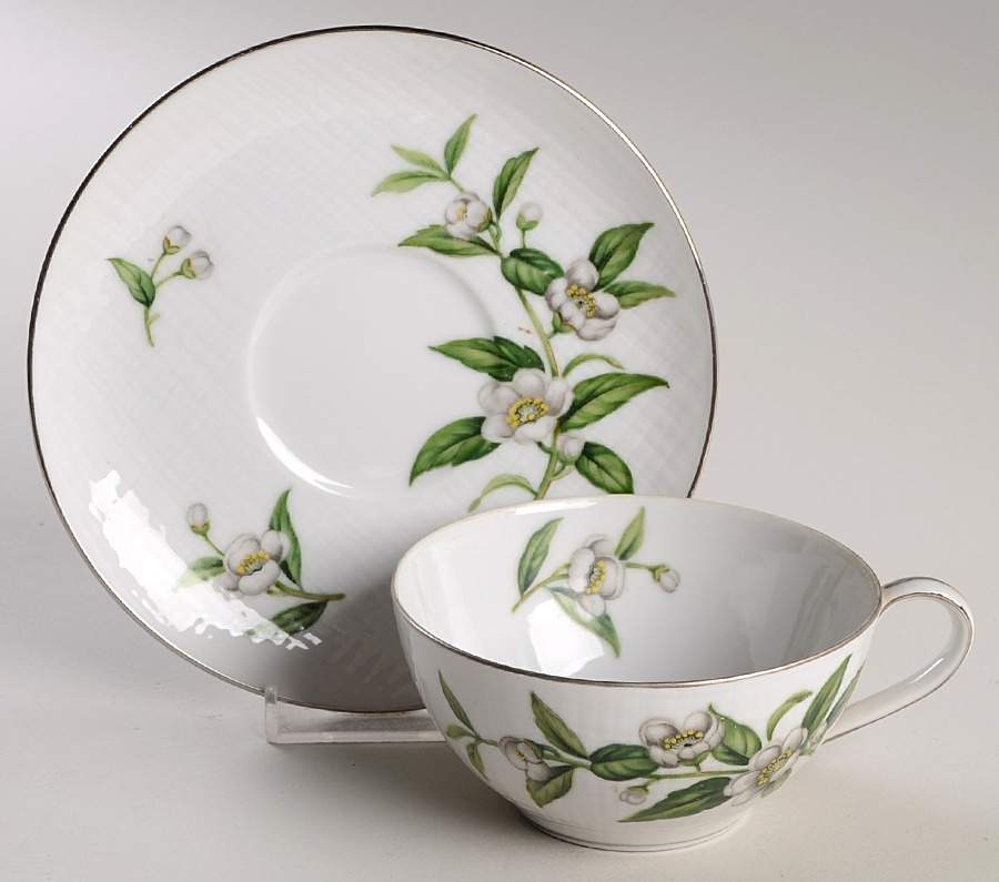 Ceylon Flat Cup & Saucer Set by Wentworth-1