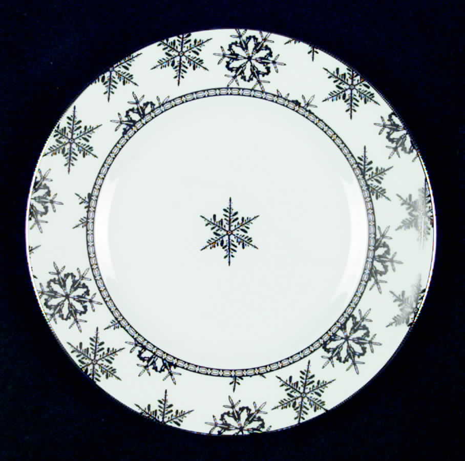 Snowfall Platinum Accent Salad Plate by Wedgwood-1