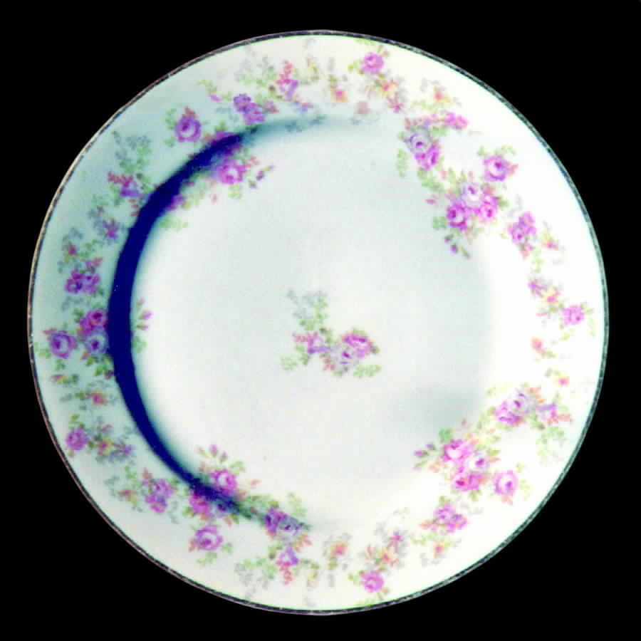 WAR82 Dinner Plate by Warwick-1