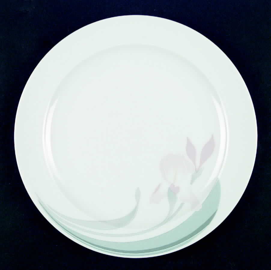 WIG392 Dinner Plate by Winterling - Bavaria-1