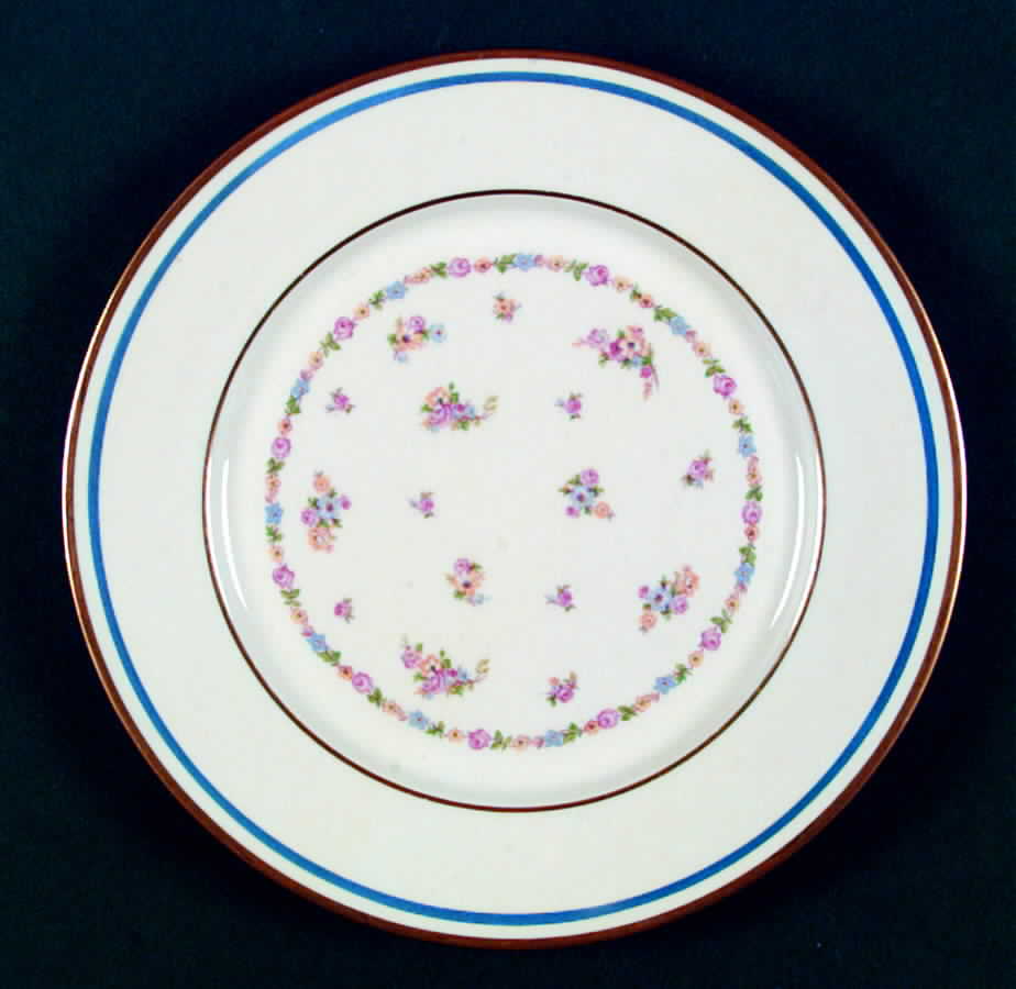 C9458 Dinner Plate by Warwick-1