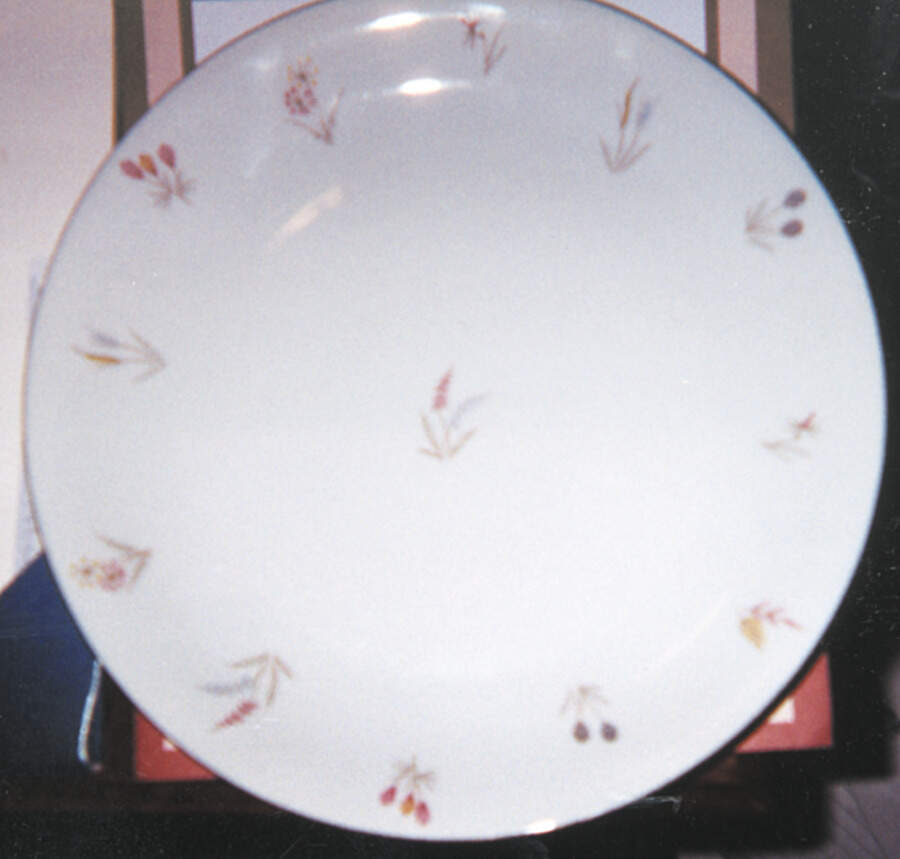 4329b Dinner Plate by Winterling - Bavaria-1