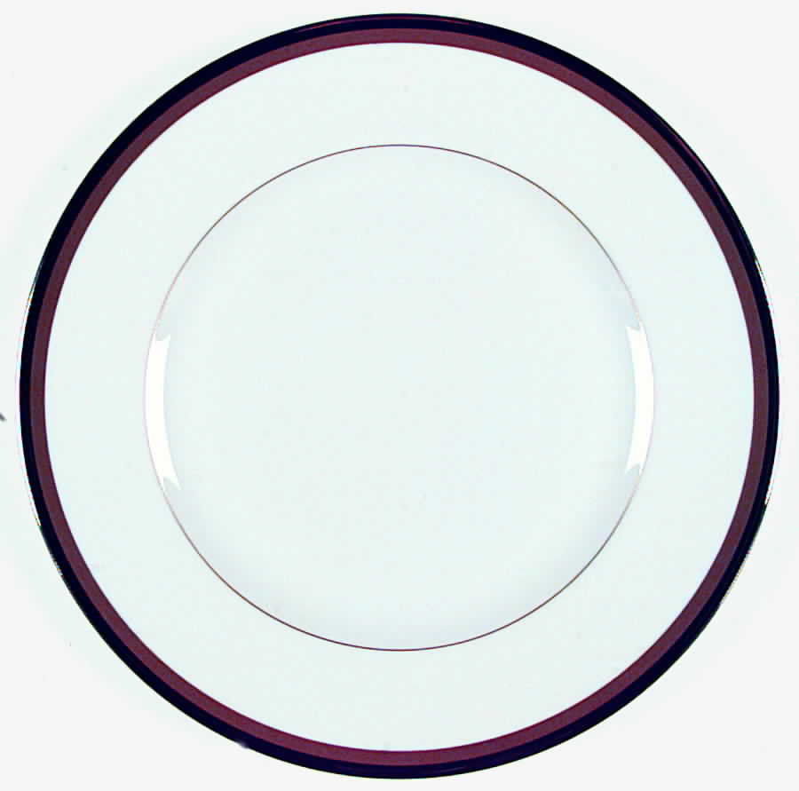 Dunmore Dinner Plate by Waterford China-1