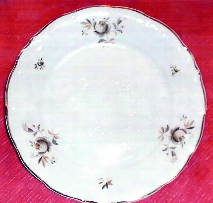 WAV20 Dinner Plate by Wawel-1