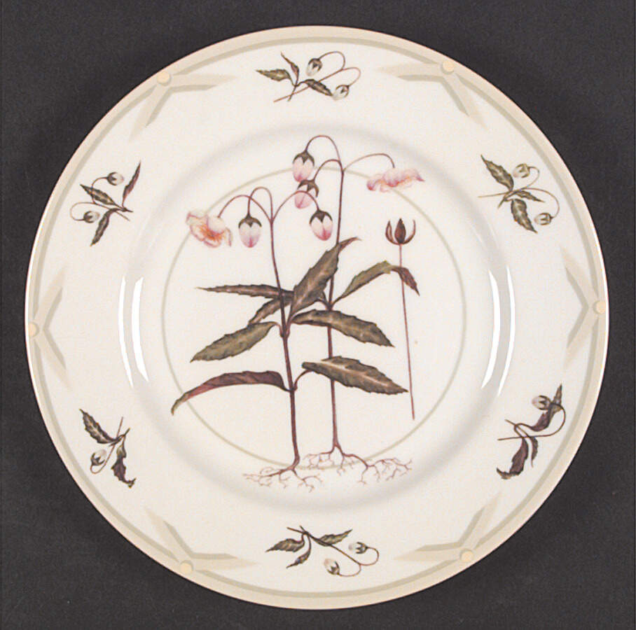 North American Wildflowers Salad Plate by Woodmere-1