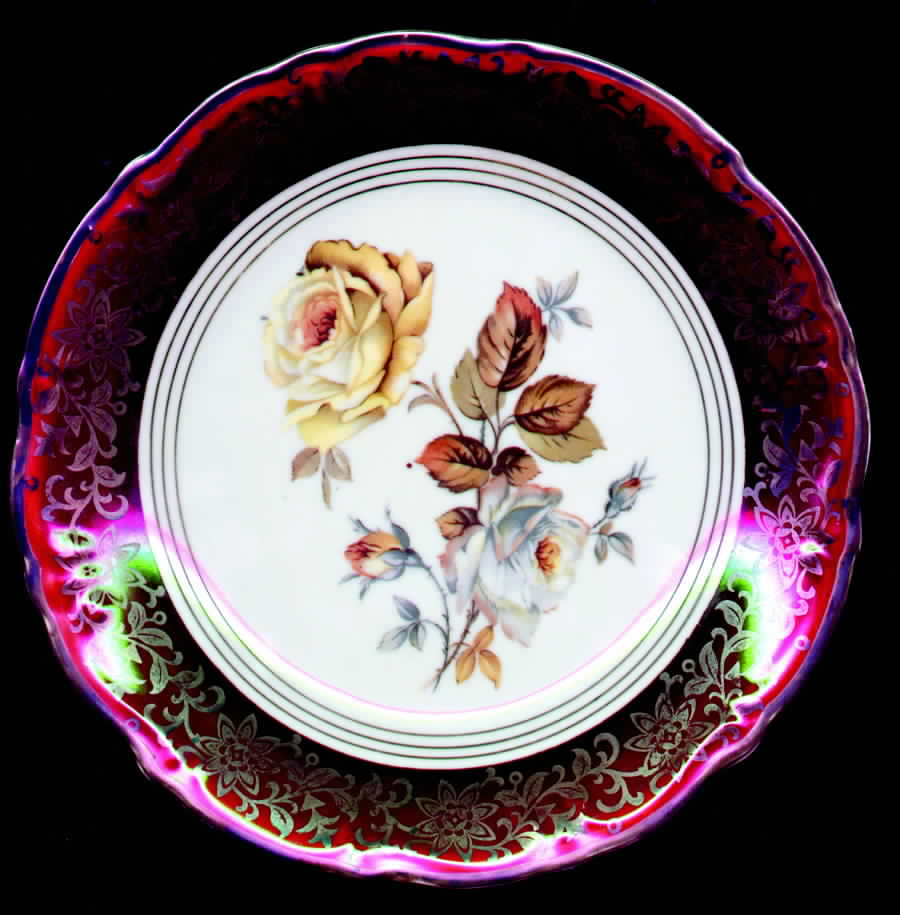 WIG426 Salad Plate by Winterling - Bavaria-1