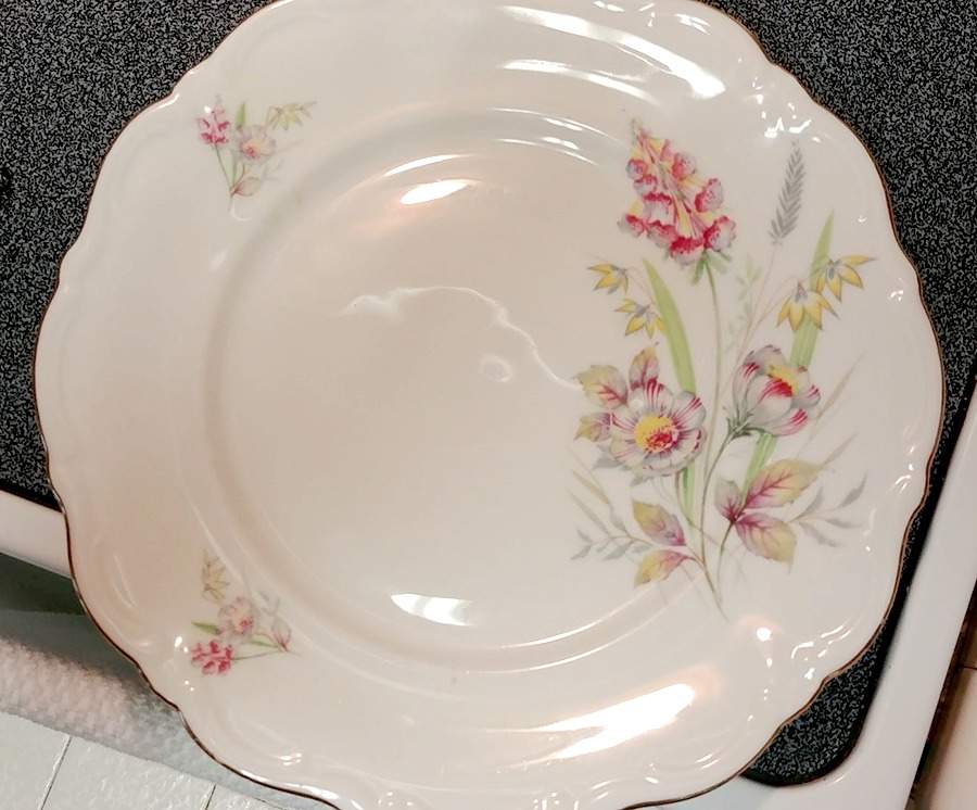 WIG441 Dinner Plate by Winterling - Bavaria-1