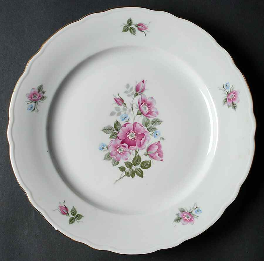 WIG456 Dinner Plate by Winterling - Bavaria-1