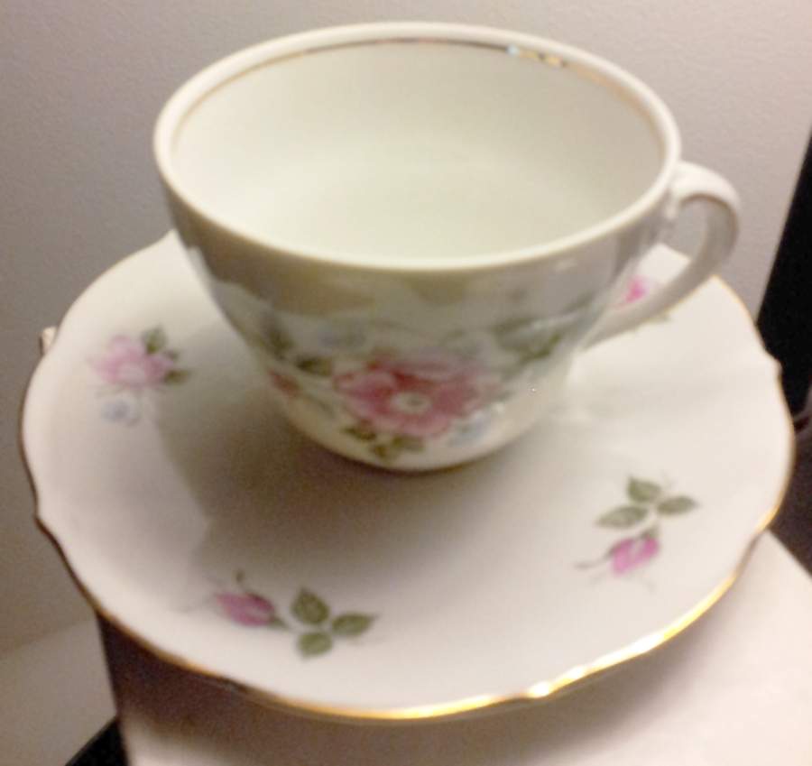WIG456 Flat Cup & Saucer Set by Winterling - Bavaria-1