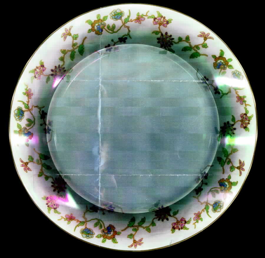 WAR97 Dinner Plate by Warwick-1