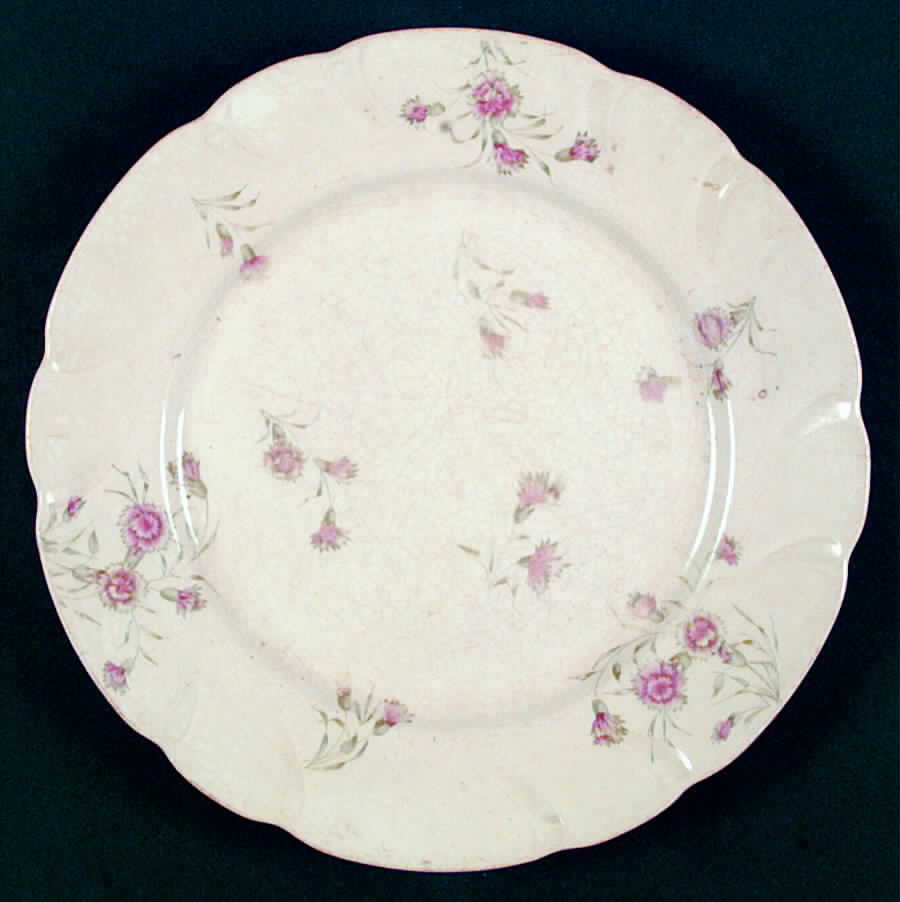 WAR98 Dinner Plate by Warwick-1