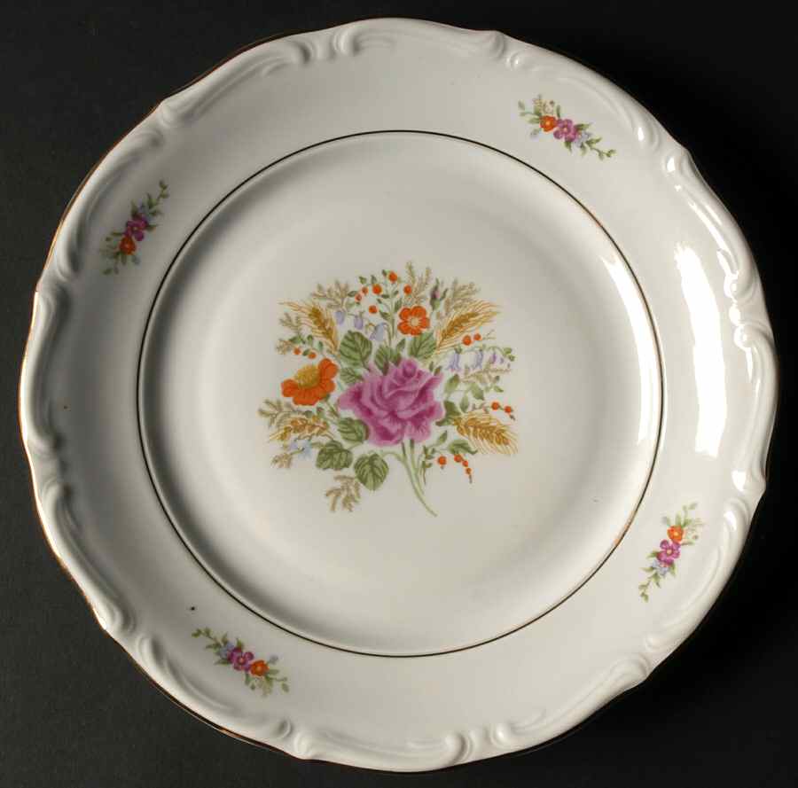 Savannah Dinner Plate by Walbrzych-1