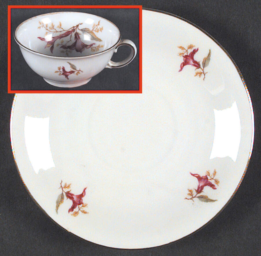 WIG464 Flat Demitasse Cup & Saucer Set by Winterling - Bavaria-1