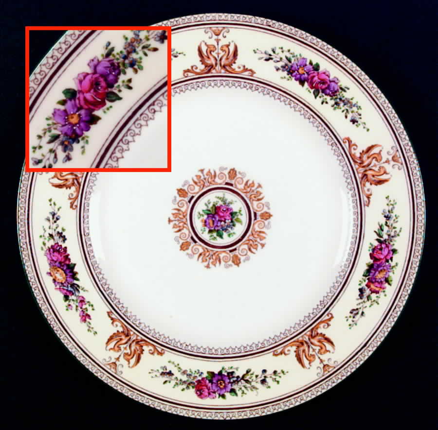 Columbia White (Ivory Rim, Yellow Griffons Dinner Plate by Wedgwood-1