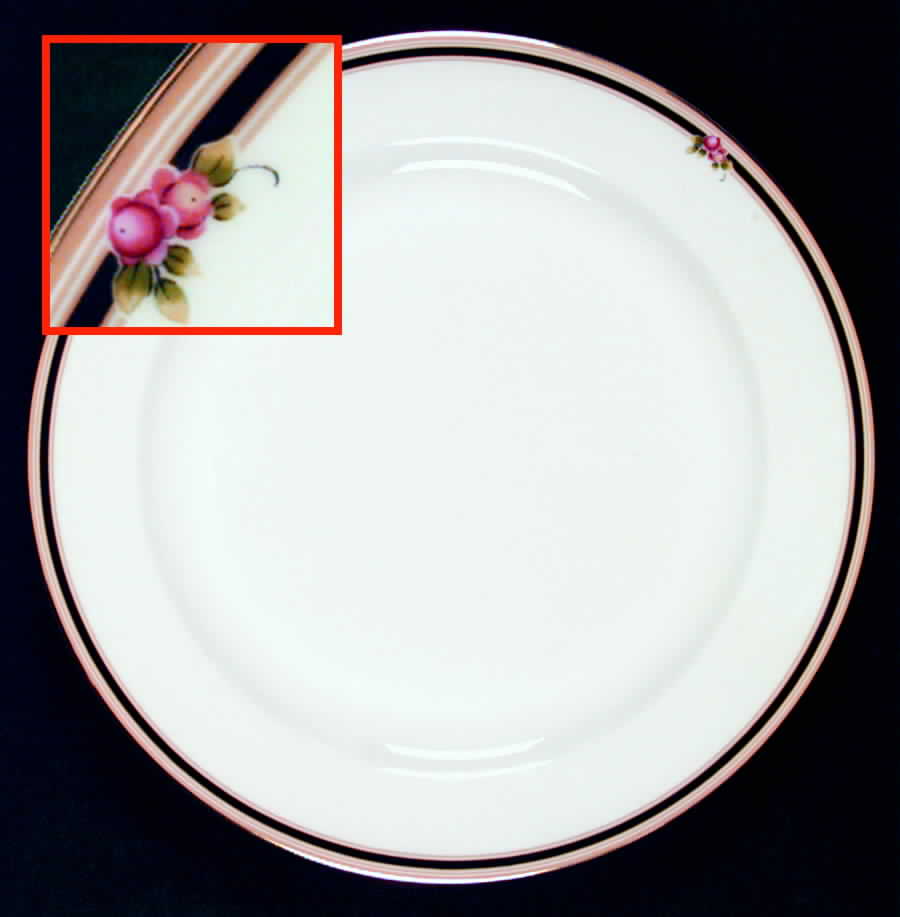 Clio (Hotel Restaurant Ware) Dinner Plate by Wedgwood-1