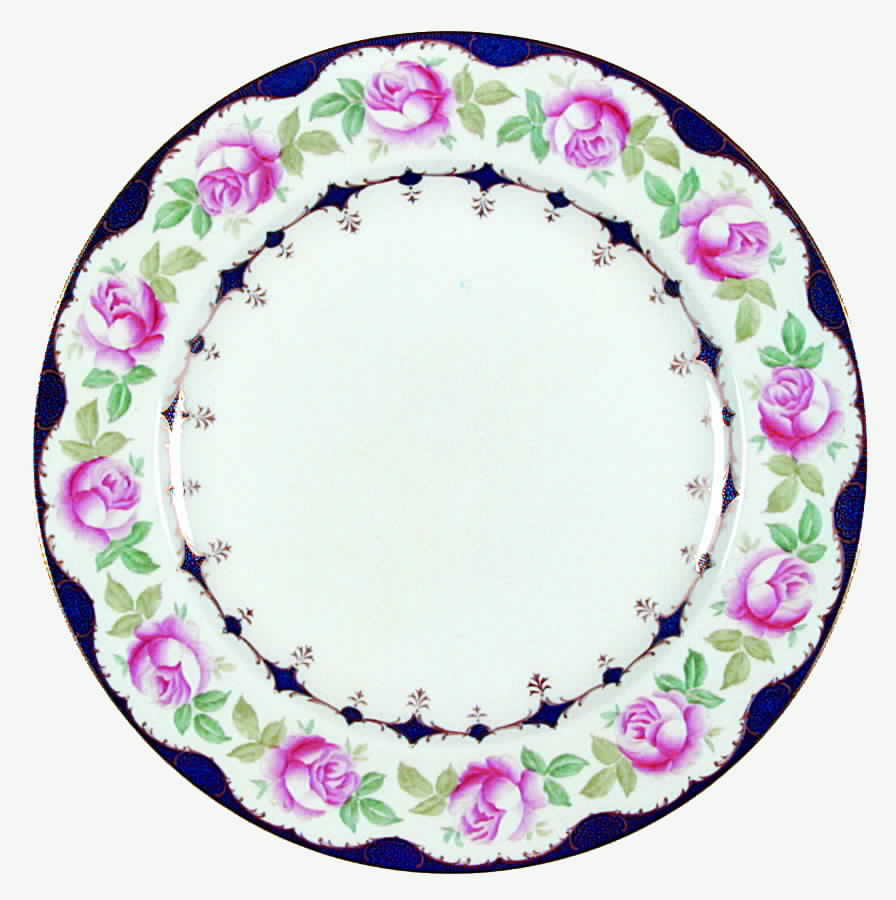 X5330 Dinner Plate by Wedgwood-1