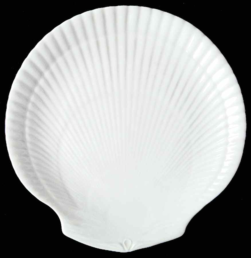 Nautilus Coral Dinner Plate by Wedgwood-1