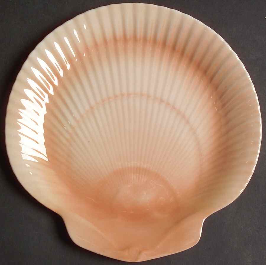 Nautilus Coral Salad Plate by Wedgwood-1