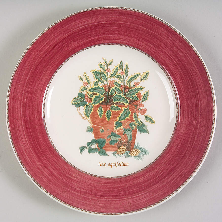 Sarah's Garden Christmas Red Salad Plate by Wedgwood-1