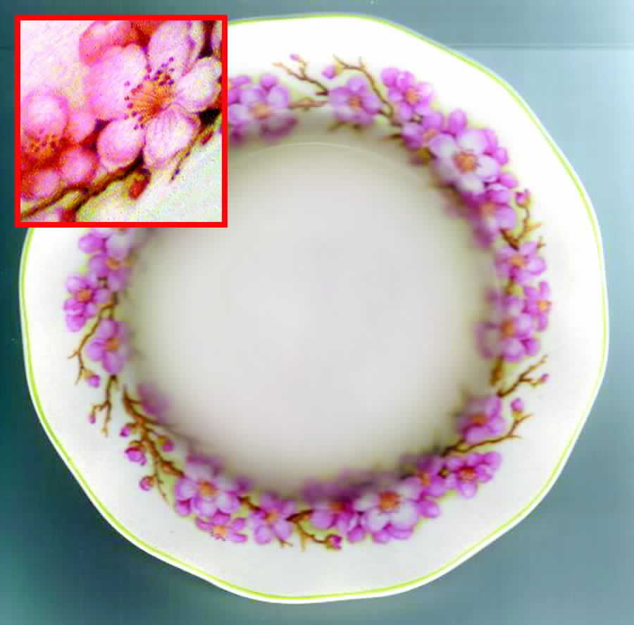 Blossom Time Dinner Plate by Wedgwood-1