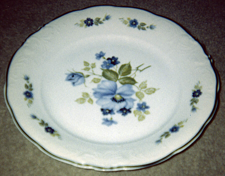 WAV25 Salad Plate by Wawel-1