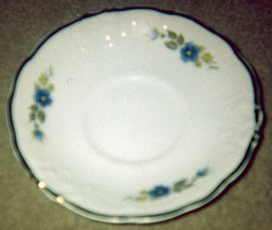 WAV25 Saucer by Wawel-1