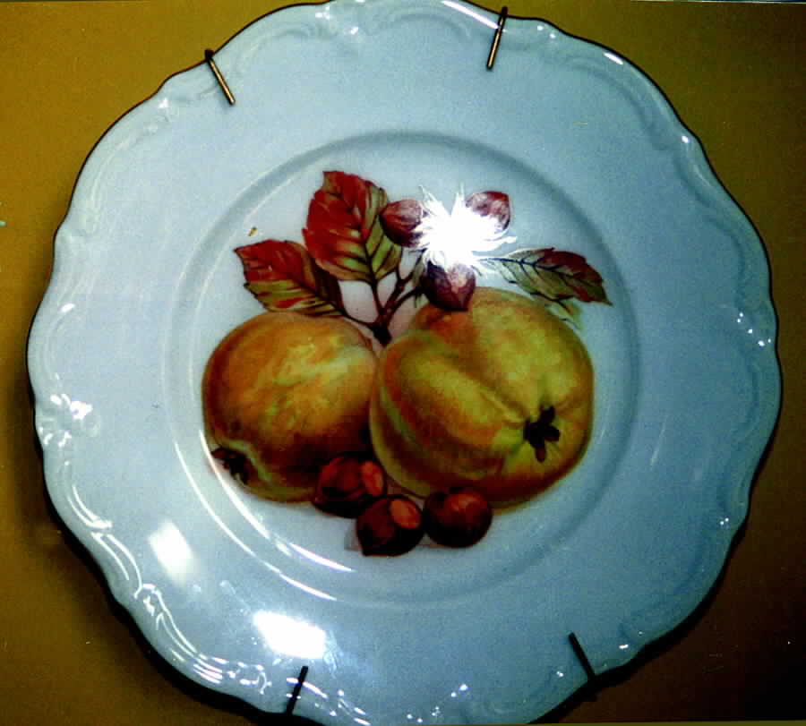 WIG489 Dinner Plate by Winterling - Bavaria-1